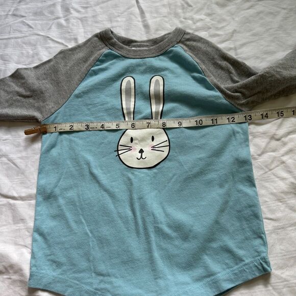 Hanna Andersson long sleeve baseball t-shirts bundle of 2 kids size 110 (US 5) - Picture 8 of 10